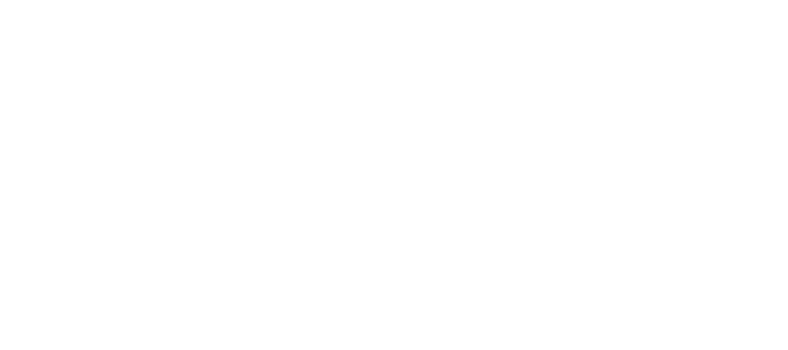 BYX Logo